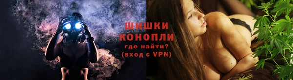 первитин Богданович