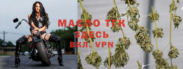 первитин Богданович