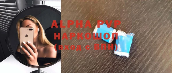 первитин Богданович