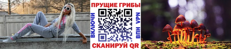 Галлюциногенные грибы Psilocybe  Приволжский 