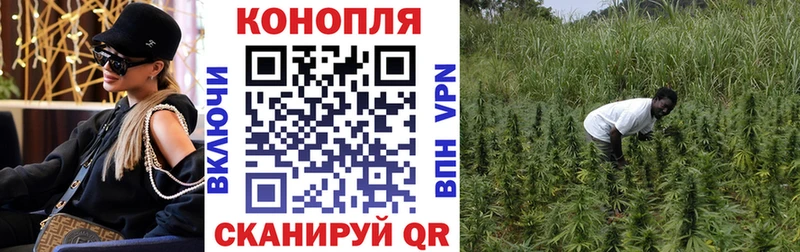 Канабис SATIVA & INDICA Приволжский